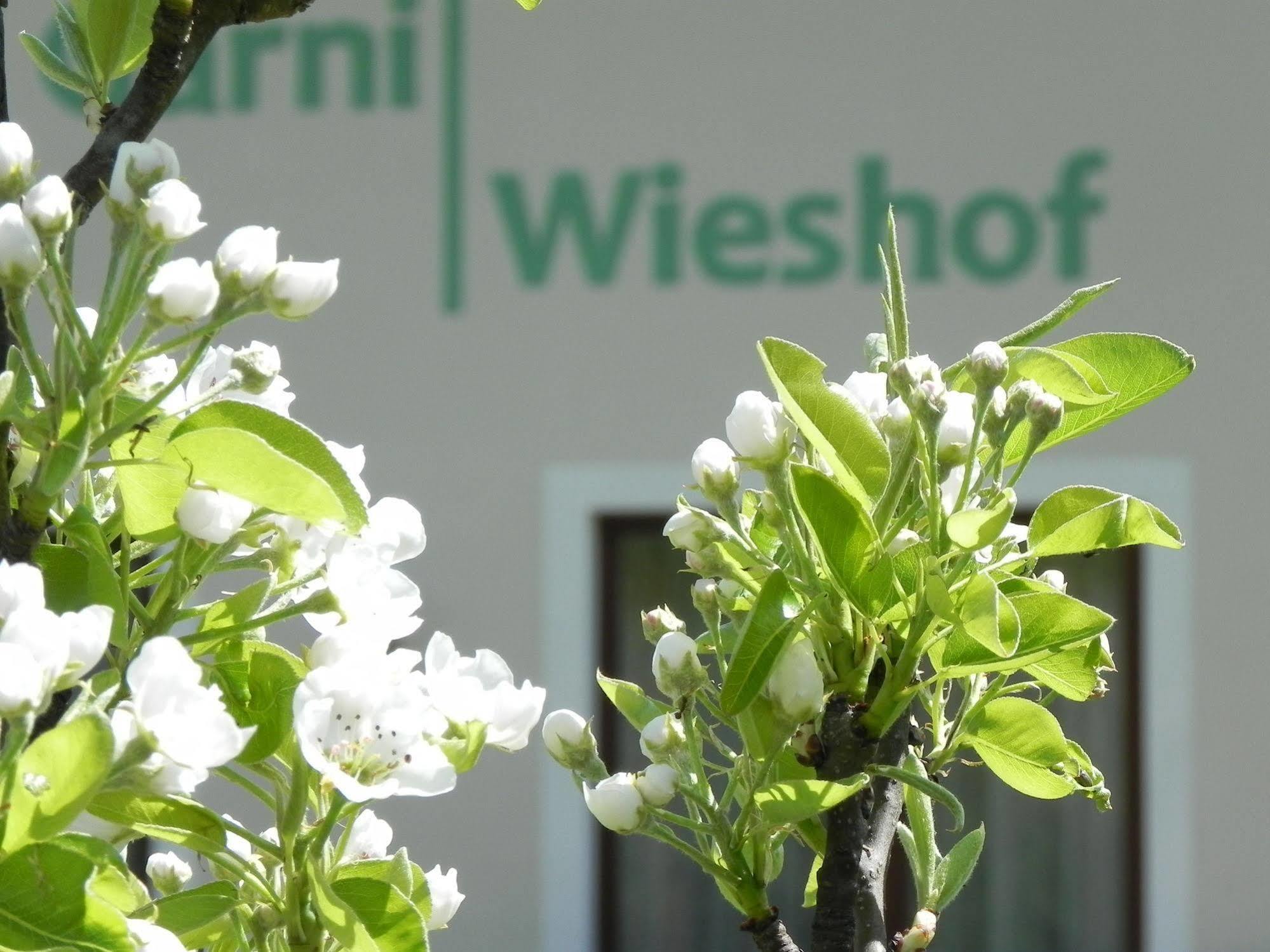 Hotel Garni Wieshof Rauris Dış mekan fotoğraf